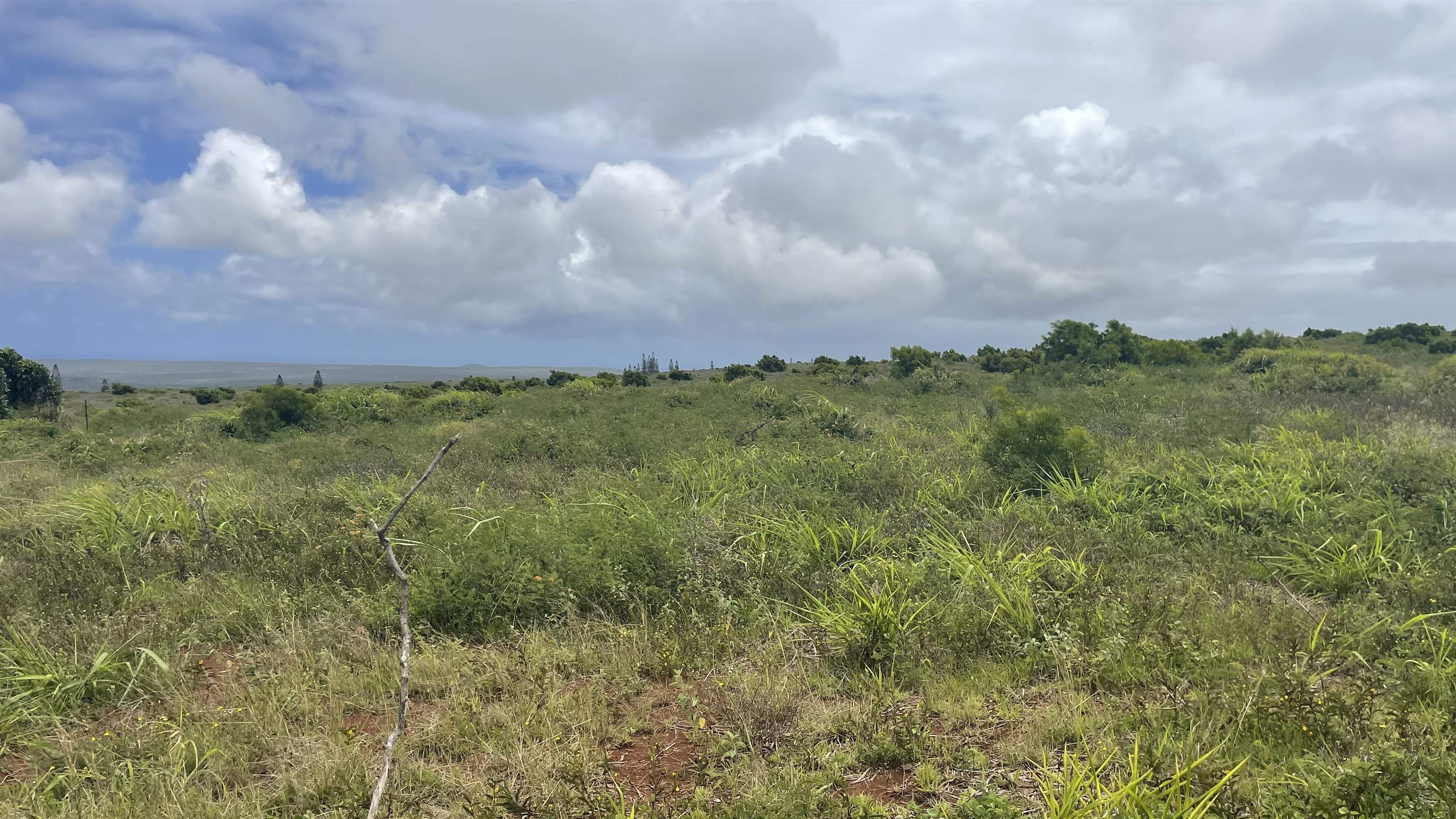 Kaana St  Maunaloa, Hi vacant land for sale - photo 8 of 22