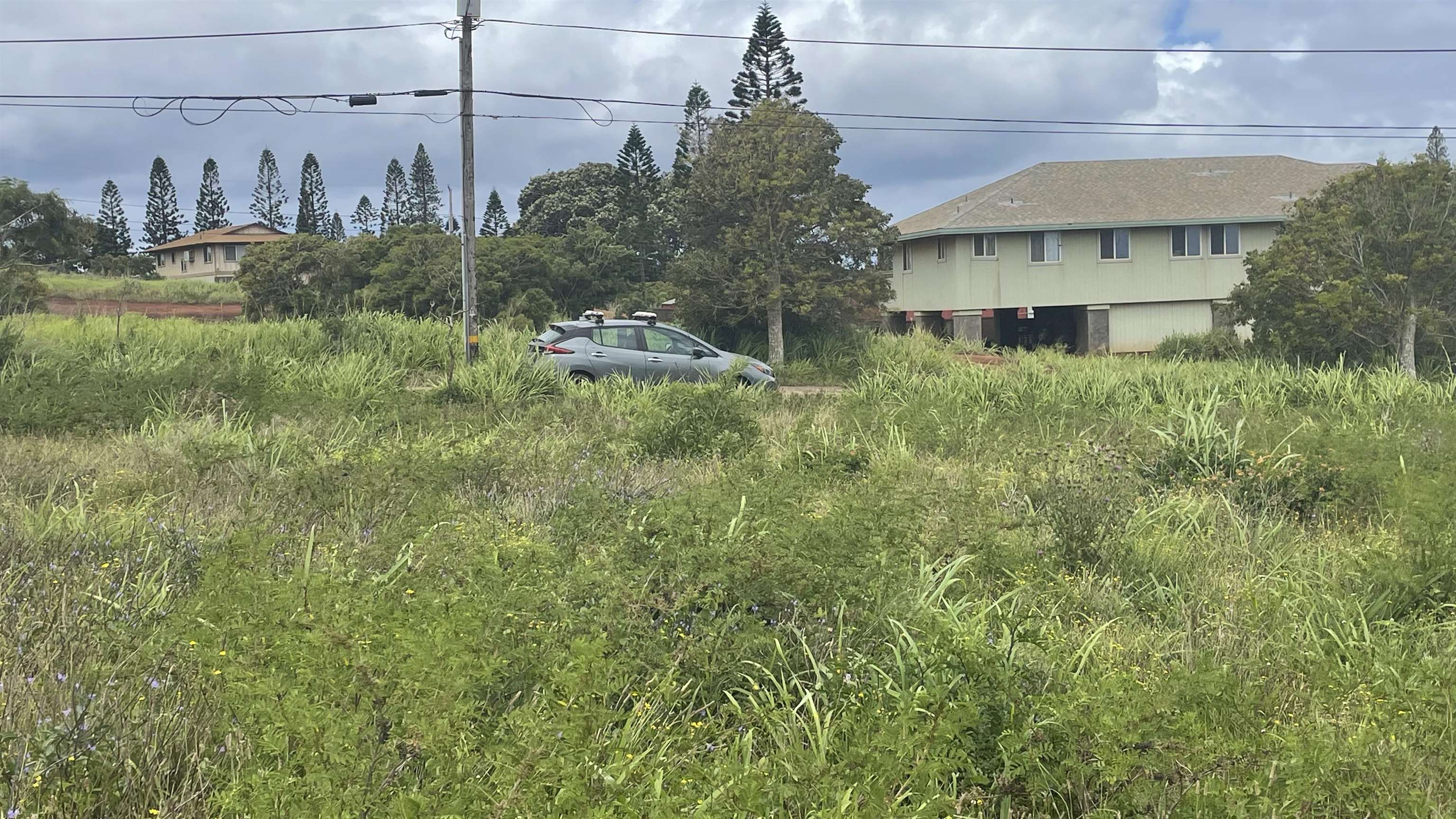 Kaana St  Maunaloa, Hi vacant land for sale - photo 10 of 22