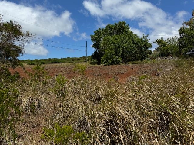 Kaana Street St Lot 499 Maunaloa, Hi vacant land for sale - photo 2 of 13