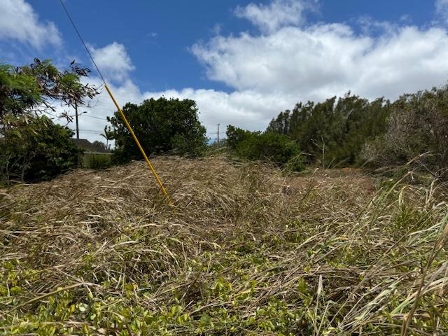 Kaana Street St Lot 499 Maunaloa, Hi vacant land for sale - photo 11 of 13