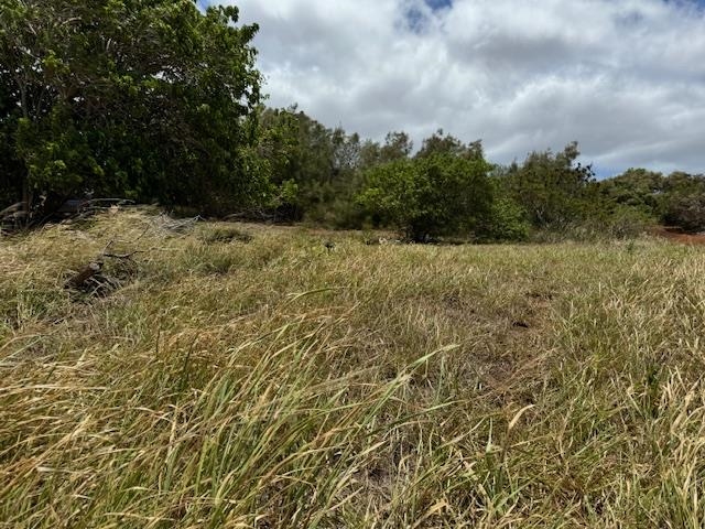 Kaana Street St Lot 499 Maunaloa, Hi vacant land for sale - photo 3 of 13