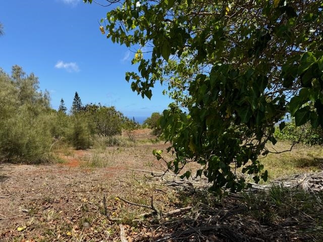 Kaana Street St Lot 499 Maunaloa, Hi vacant land for sale - photo 4 of 13