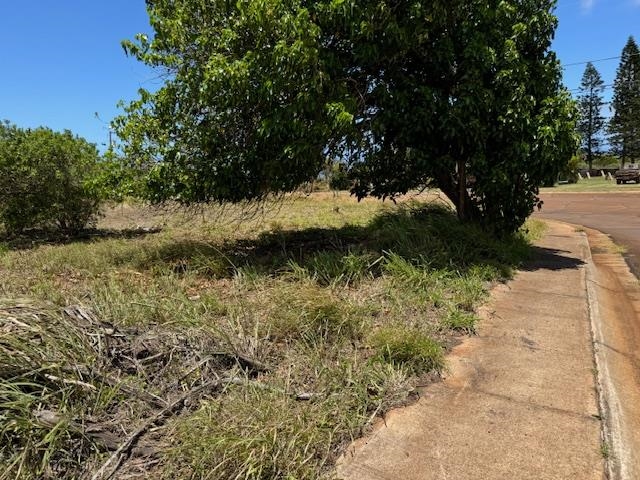 Kaana Street St Lot 499 Maunaloa, Hi vacant land for sale - photo 5 of 13