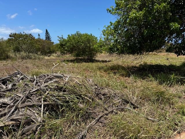 Kaana Street St Lot 499 Maunaloa, Hi vacant land for sale - photo 6 of 13