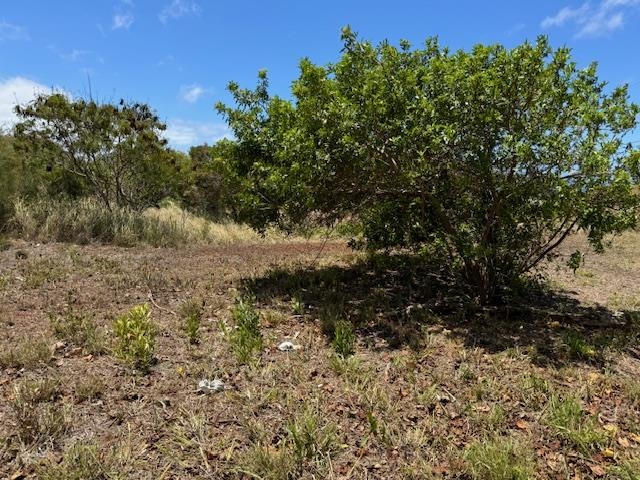 Kaana Street St Lot 499 Maunaloa, Hi vacant land for sale - photo 7 of 13