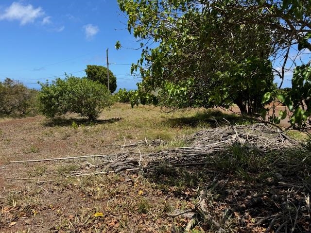 Kaana Street St Lot 499 Maunaloa, Hi vacant land for sale - photo 9 of 13