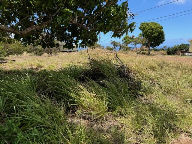 Kaana Street St Lot 499 Maunaloa, Hi vacant land for sale - photo 10 of 13