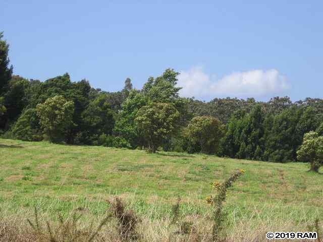 0 Kahakapao RD  Makawao, Hi vacant land for sale - photo 2 of 11