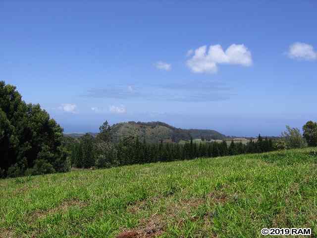 0 Kahakapao RD  Makawao, Hi vacant land for sale - photo 7 of 11
