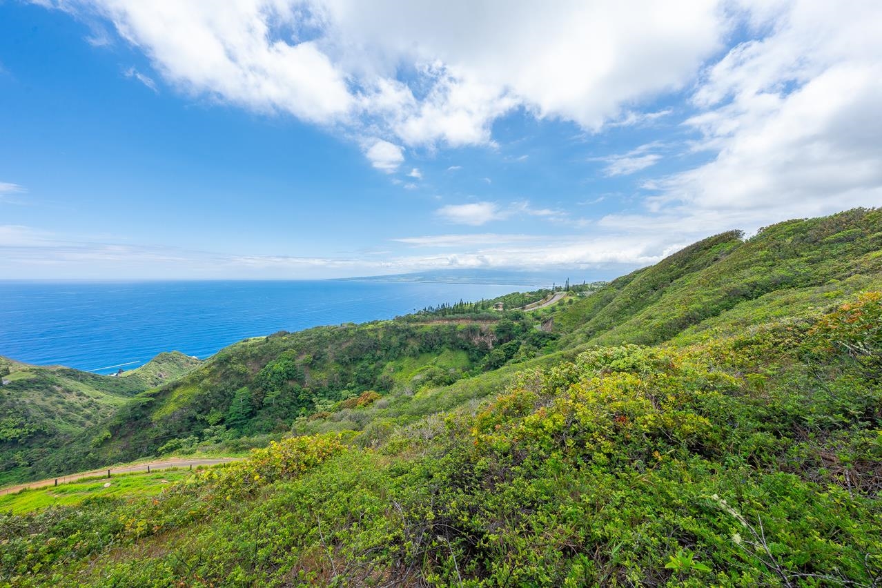 0 Kahekili Hwy  Wailuku, Hi vacant land for sale - photo 14 of 28