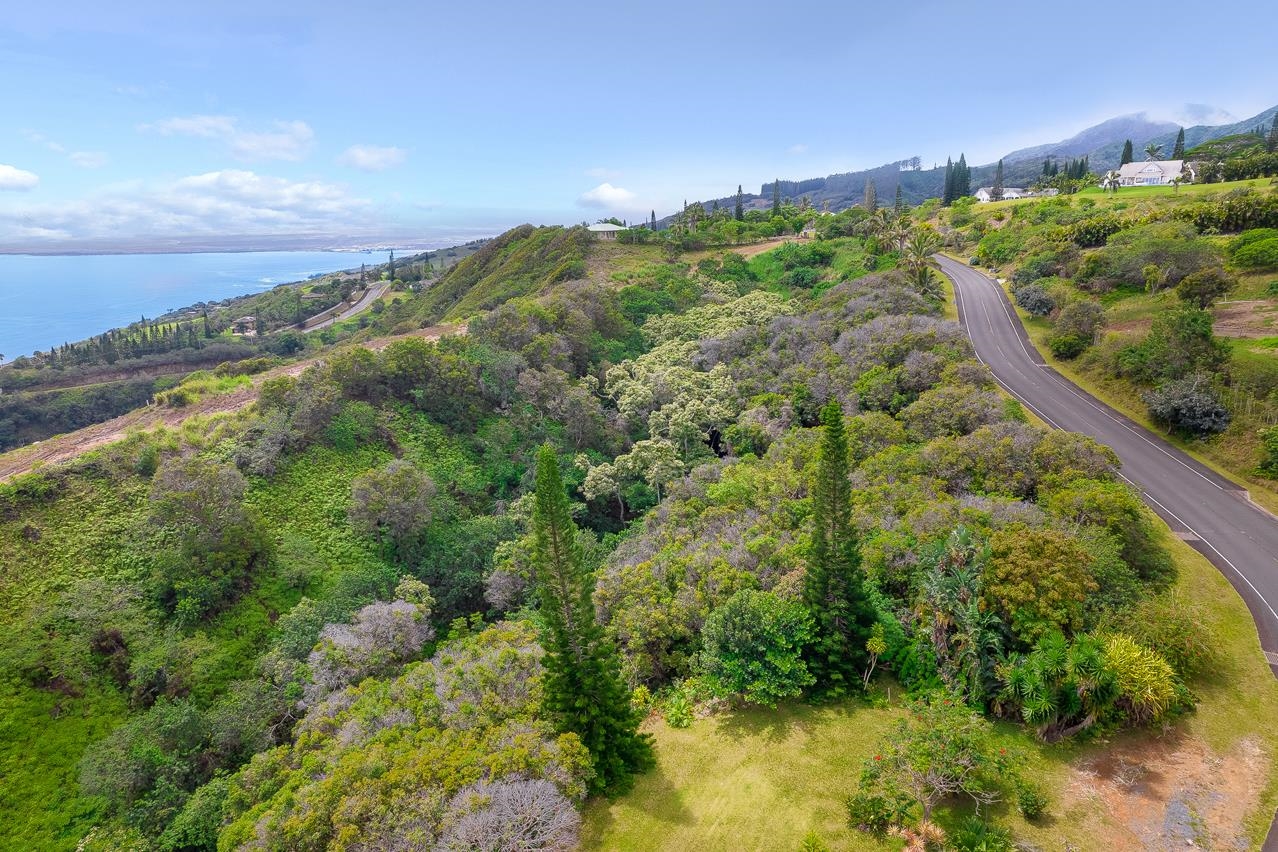 0 Kahekili Hwy  Wailuku, Hi vacant land for sale - photo 26 of 28