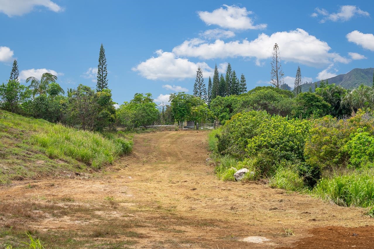 0 Kahekili Hwy  Wailuku, Hi vacant land for sale - photo 8 of 28