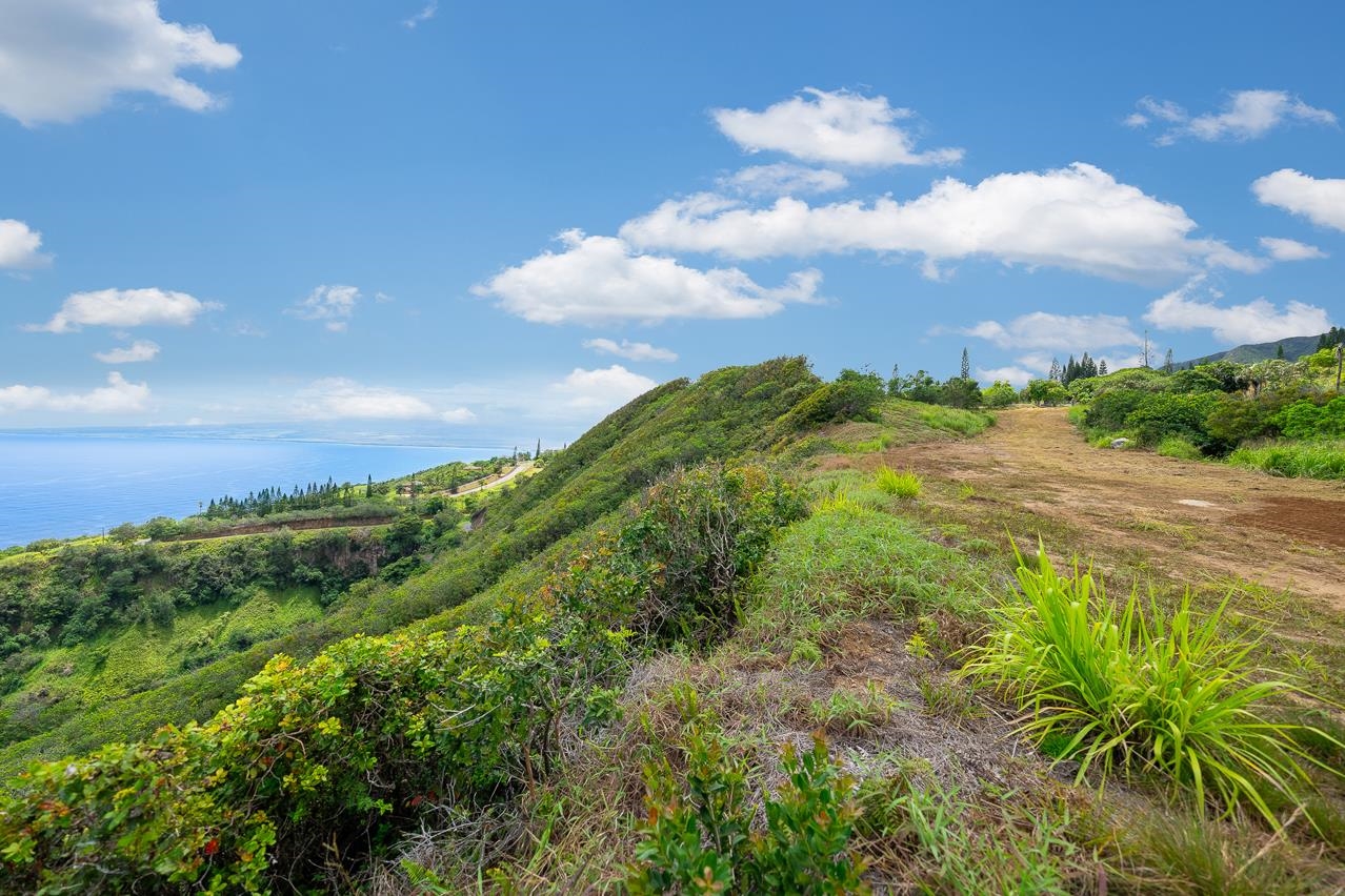 0 Kahekili Hwy  Wailuku, Hi vacant land for sale - photo 9 of 28