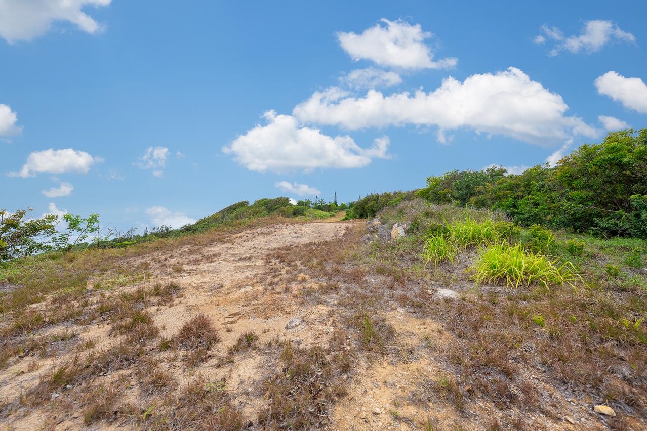 0 Kahekili Hwy  Wailuku, Hi vacant land for sale - photo 10 of 28