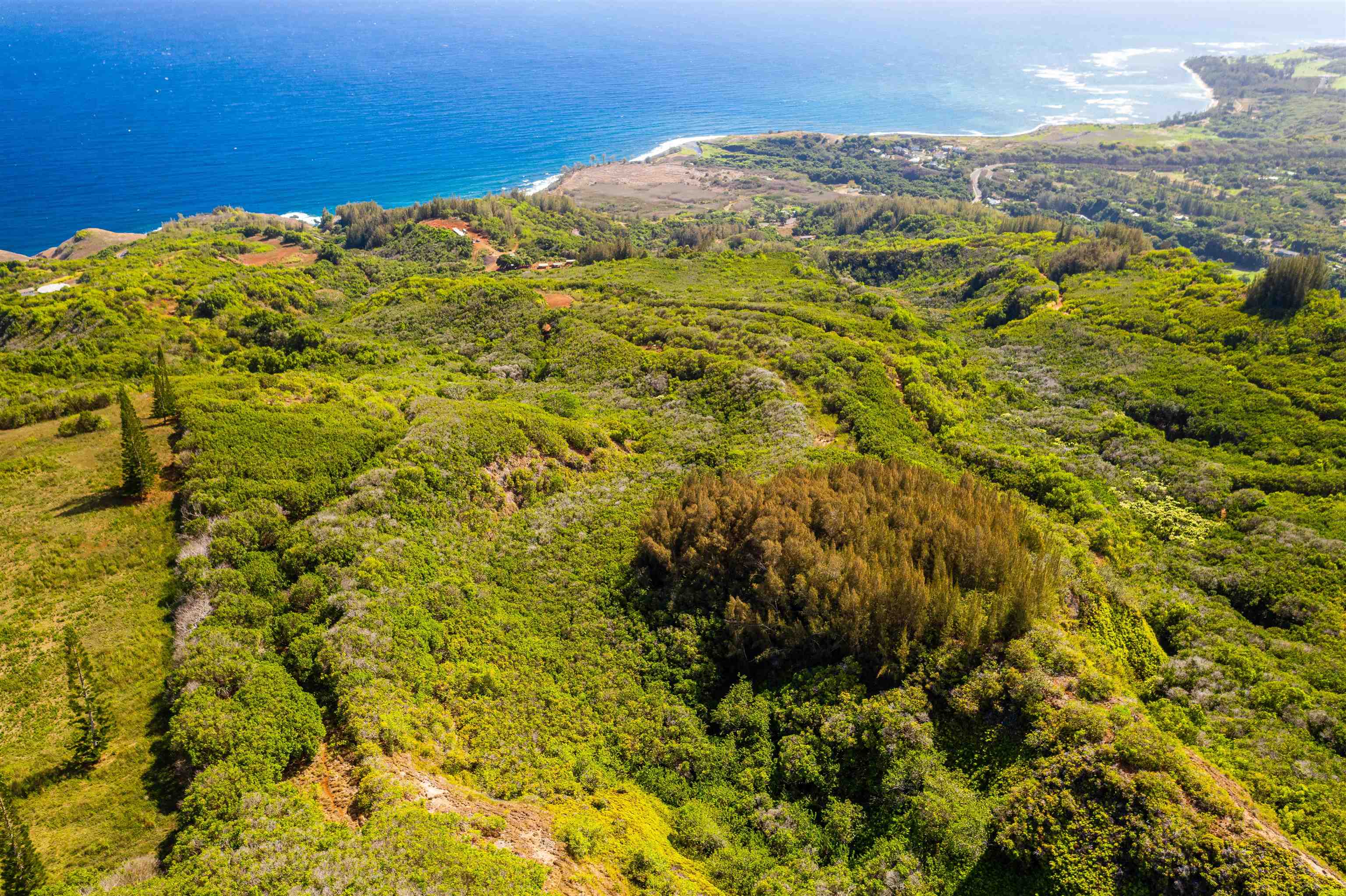 0 Kahekili Highway Waihee  - photo 14 of 29