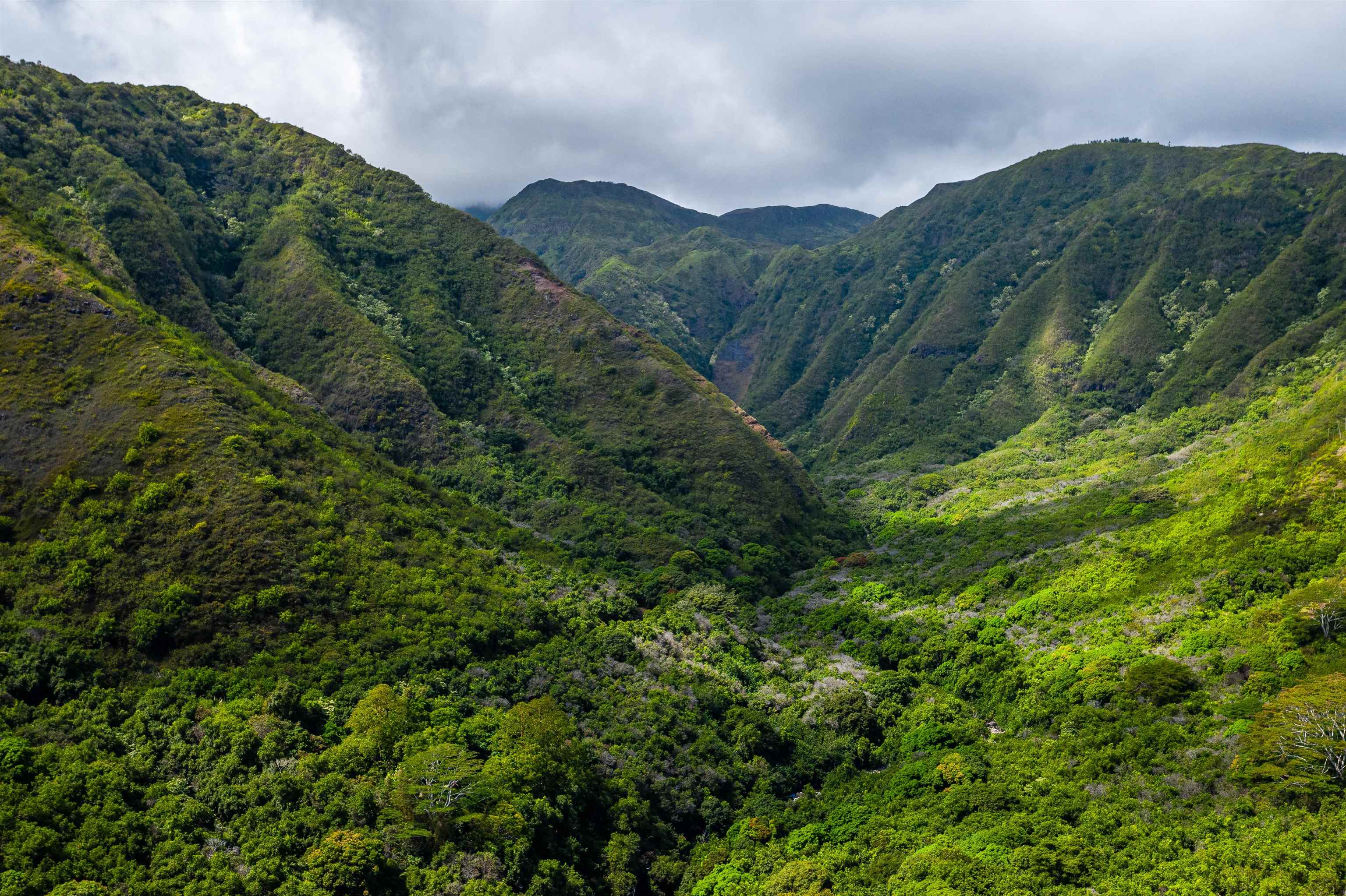 0 Kahekili Highway Waihee  - photo 26 of 29