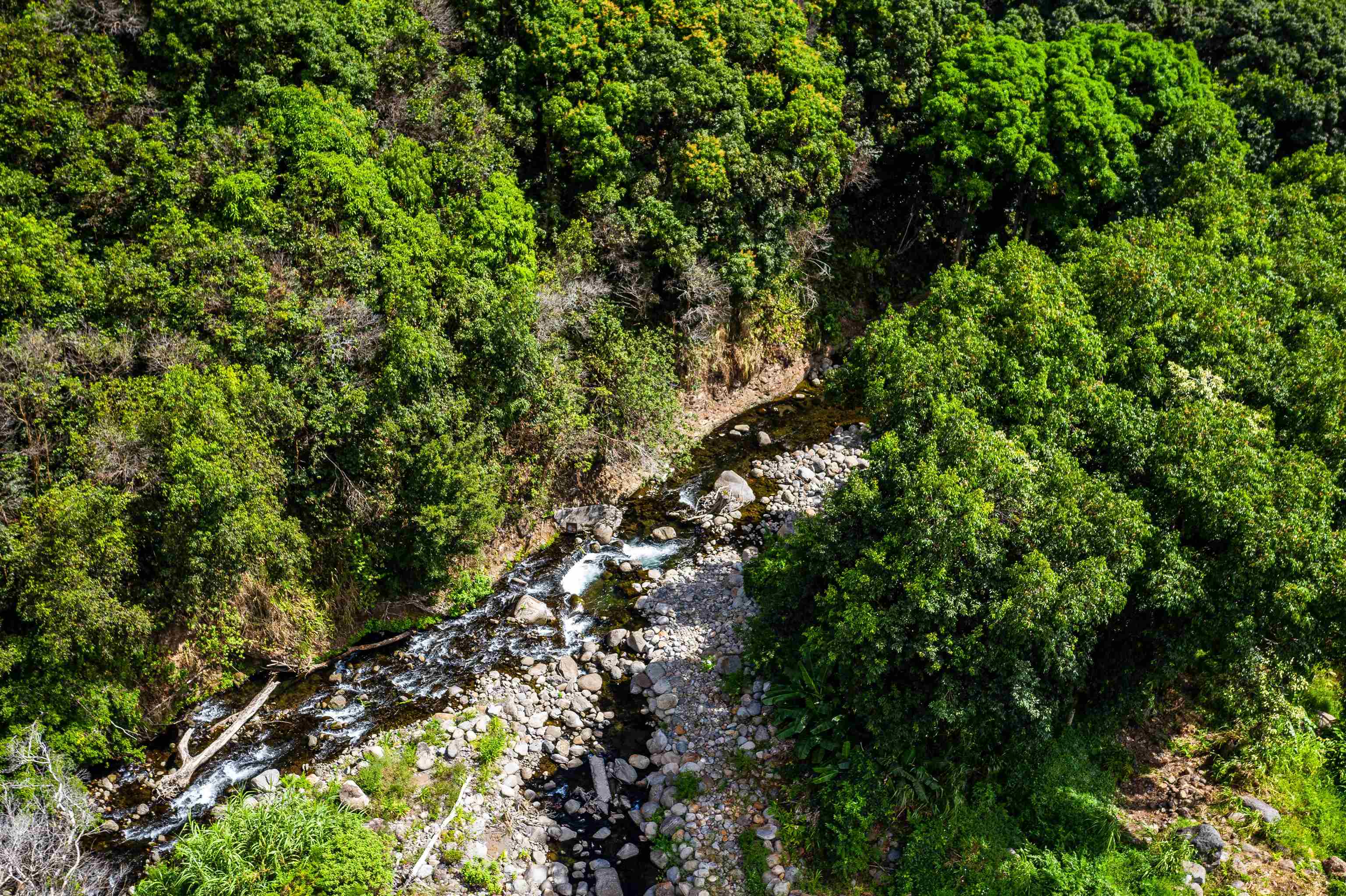 0 Kahekili Highway Waihee  - photo 29 of 29
