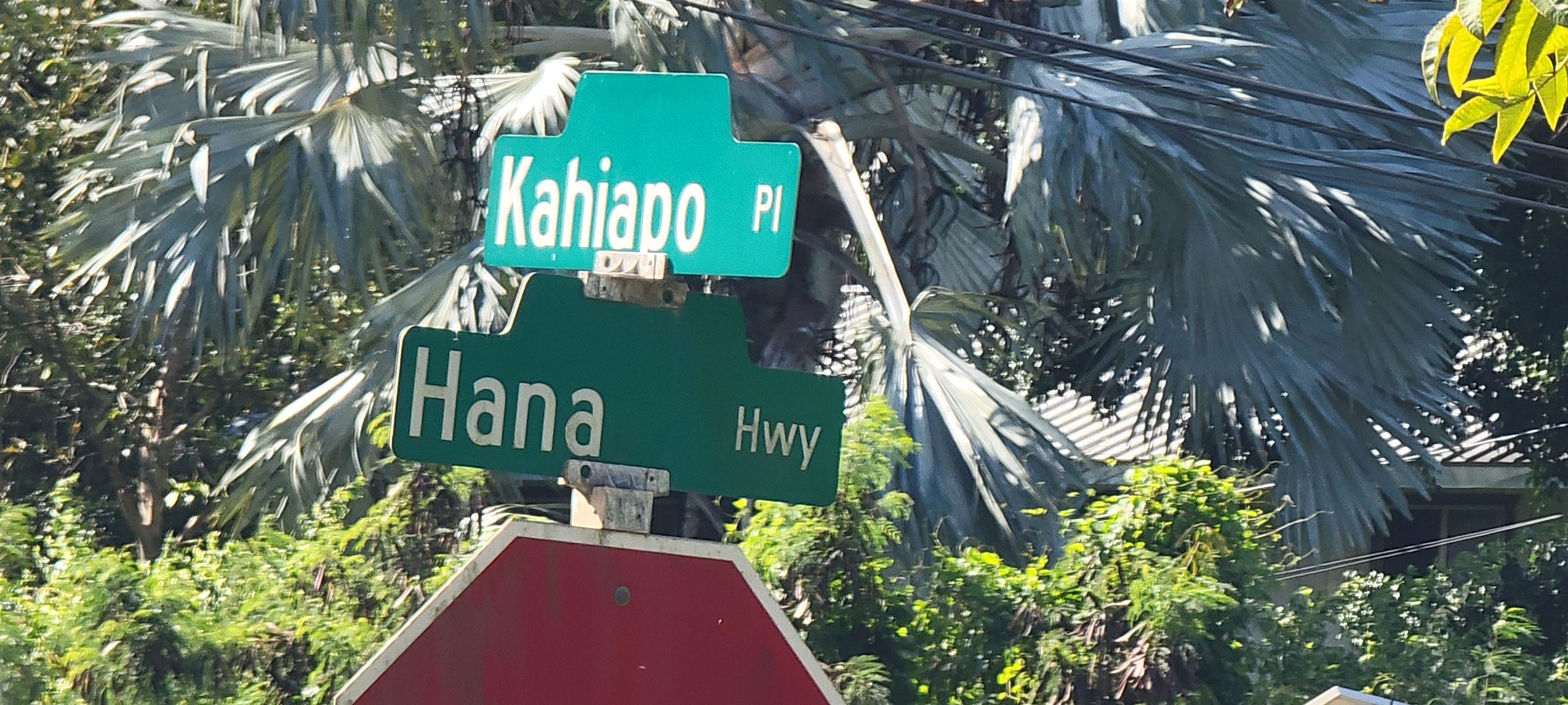 0 Kahiapo Place  Haiku-Pauwela, Hi vacant land for sale - photo 18 of 19