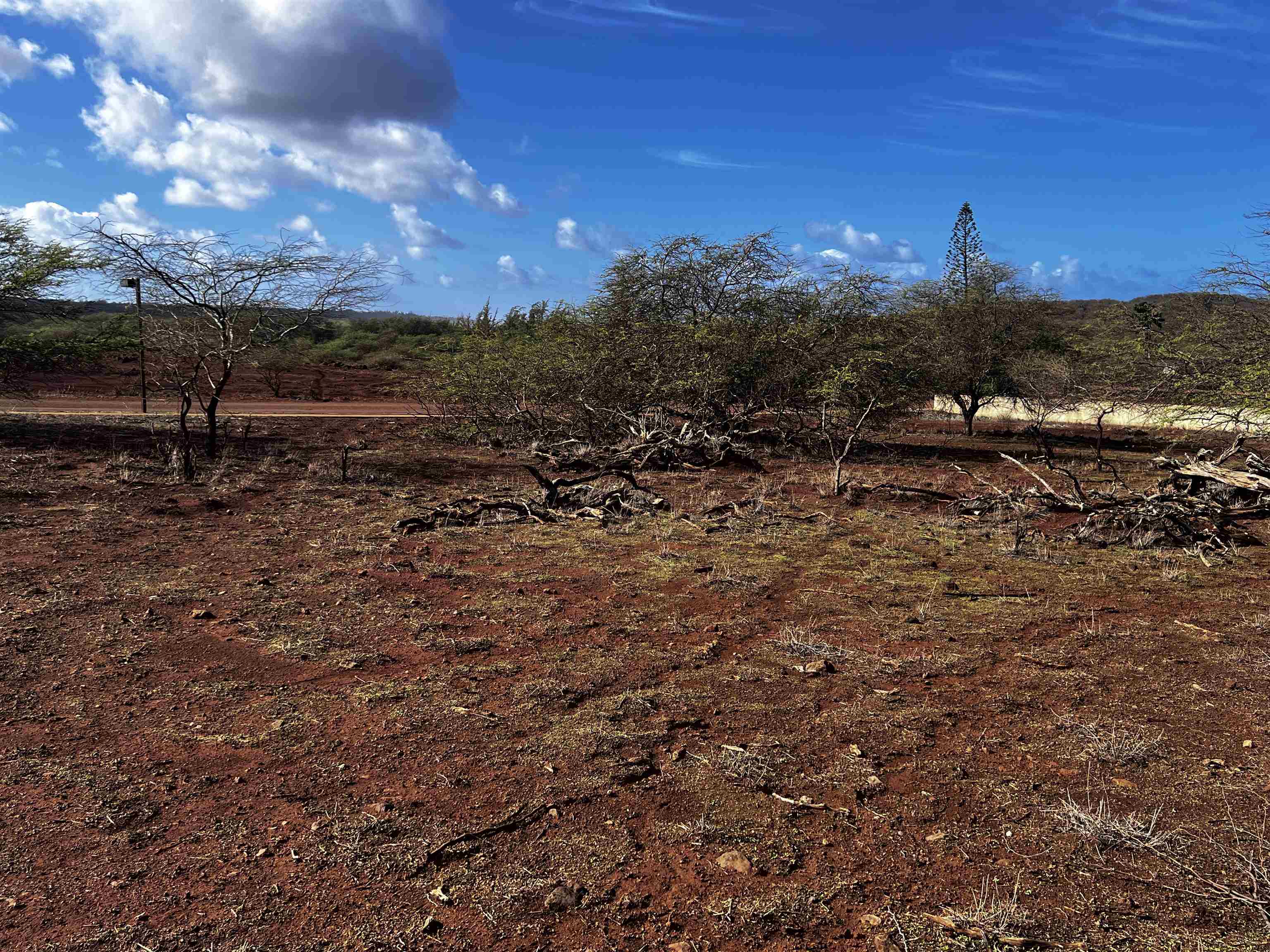 0 Kaiaka Rd 007 Maunaloa, Hi vacant land for sale - photo 6 of 10