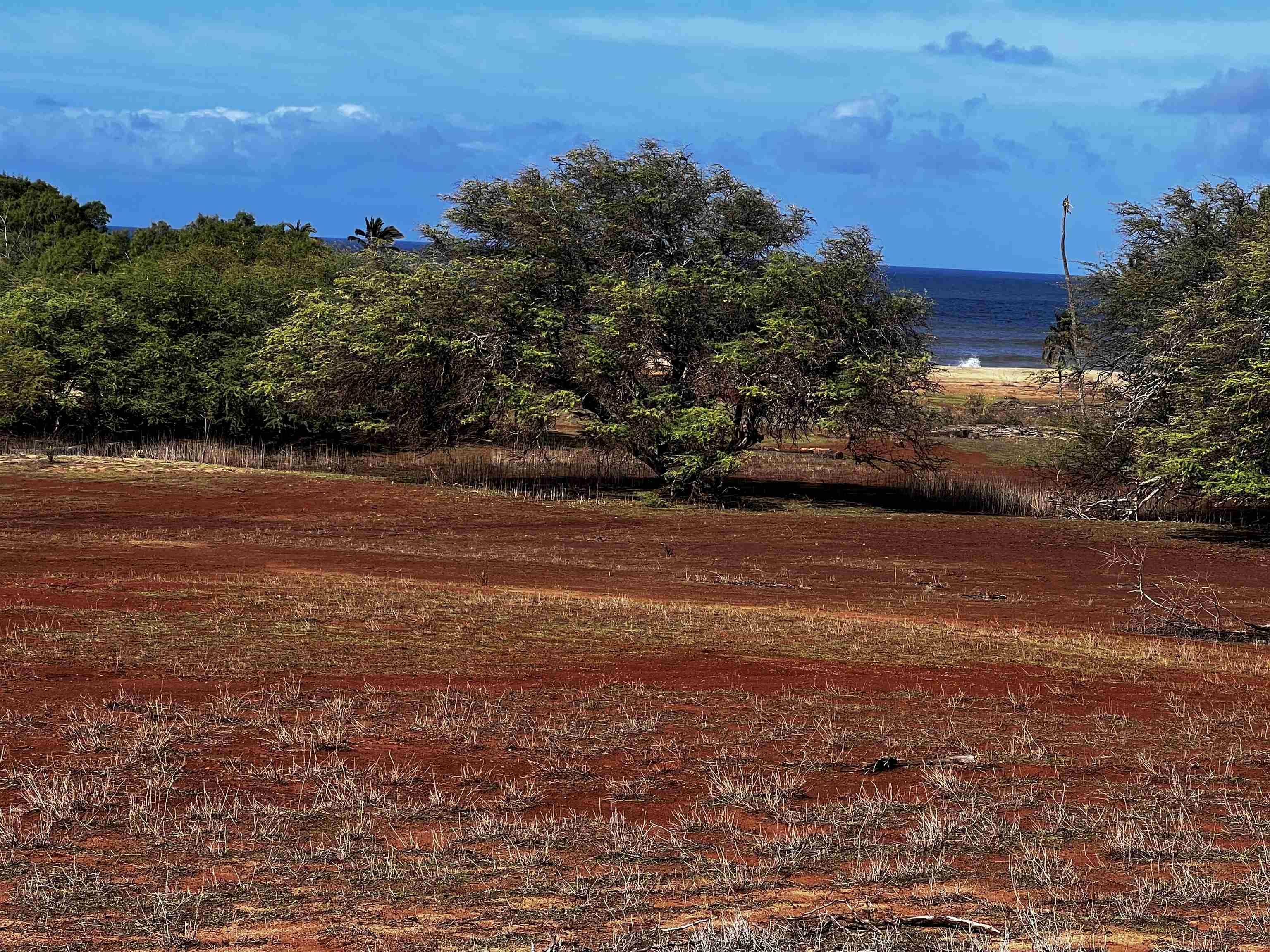 0 Kaiaka Rd 007 Maunaloa, Hi vacant land for sale - photo 8 of 10