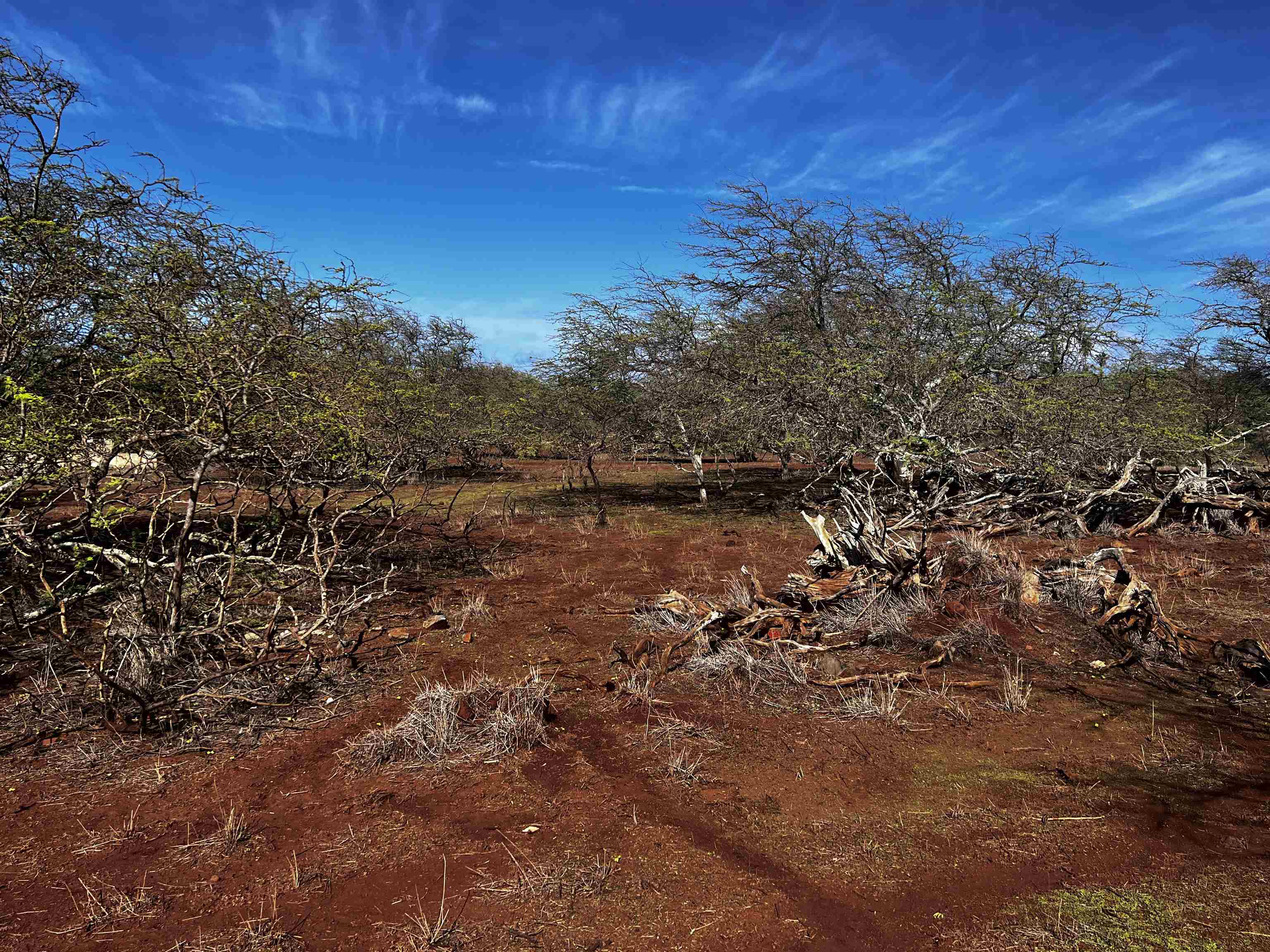 0 Kaiaka Rd 007 Maunaloa, Hi vacant land for sale - photo 9 of 10