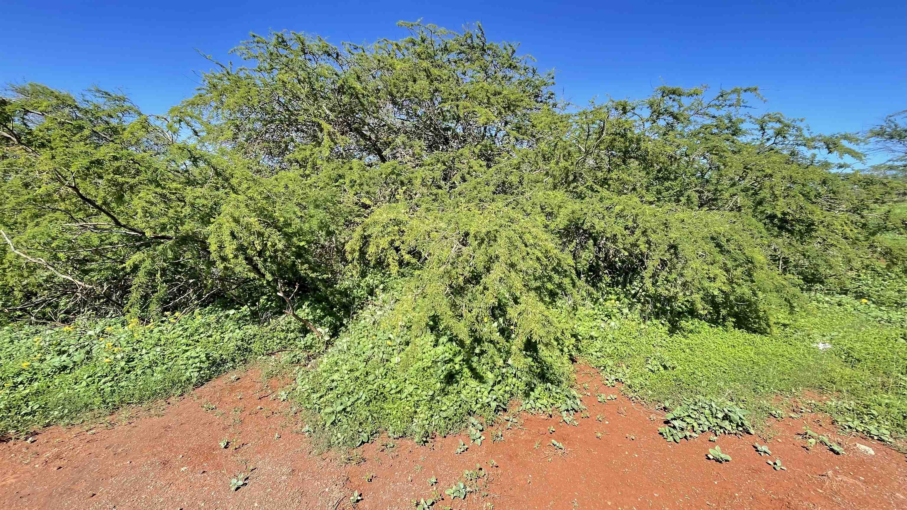 0 Kaiaka Rd  , Hi vacant land for sale - photo 2 of 15