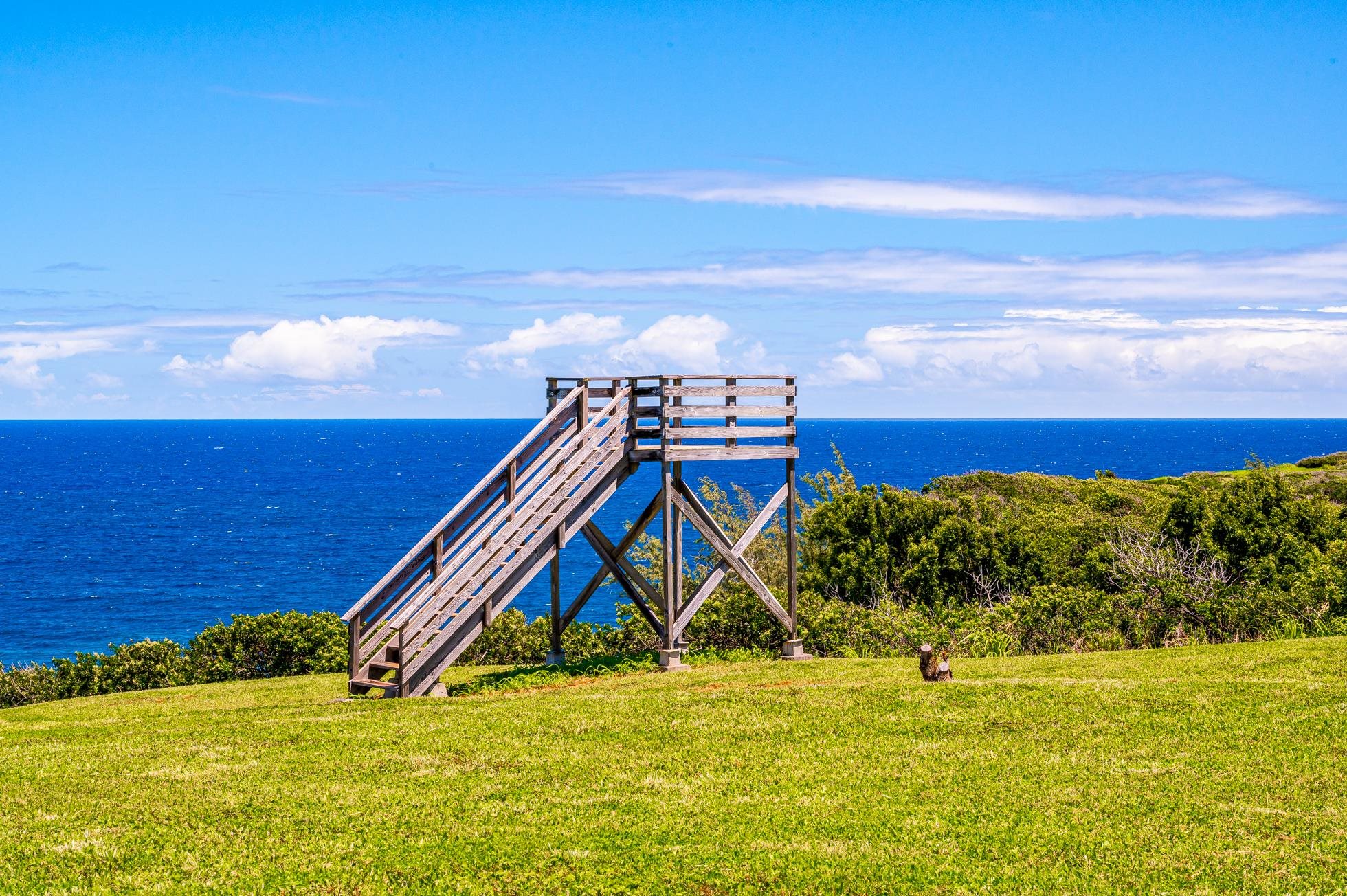 0 Kai Poi Pl  Haiku, Hi vacant land for sale - photo 9 of 22