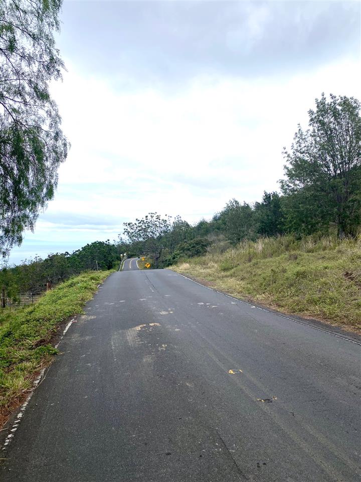 0 Kalama-Kanaio Rd  Kula, Hi vacant land for sale - photo 6 of 9