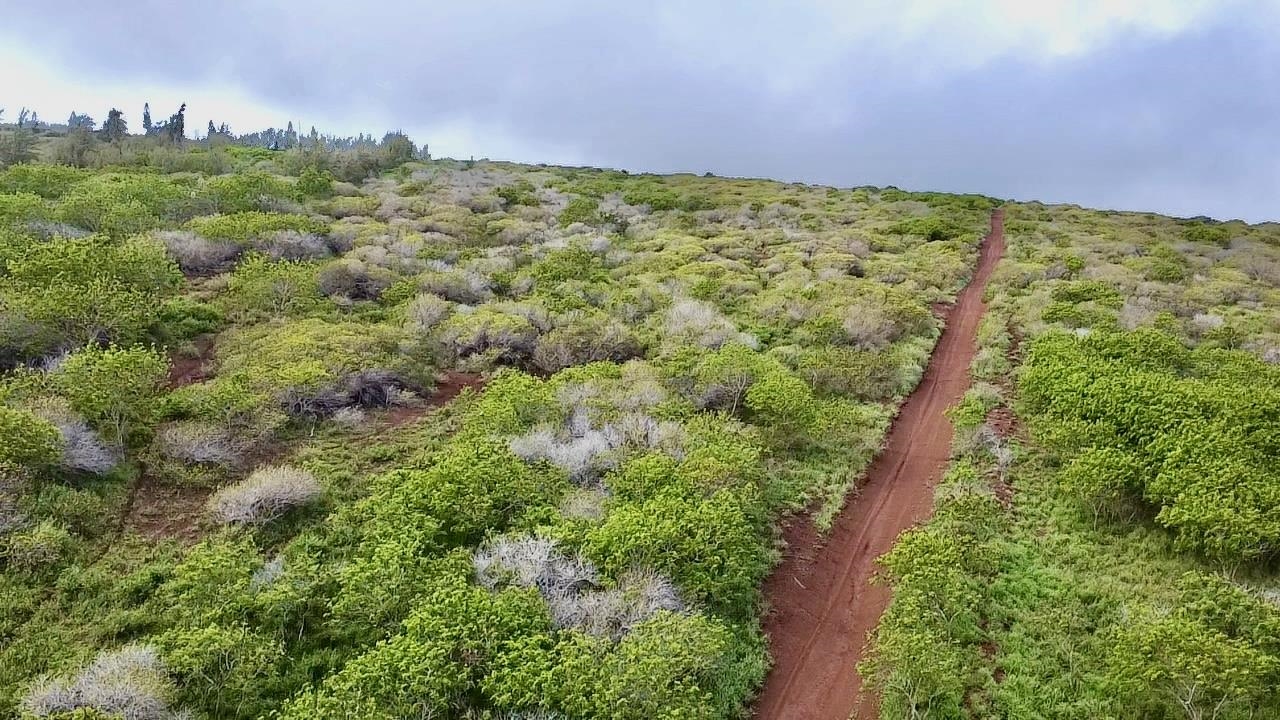 0 Kalua Koi Rd 26 Maunaloa, Hi vacant land for sale - photo 2 of 47