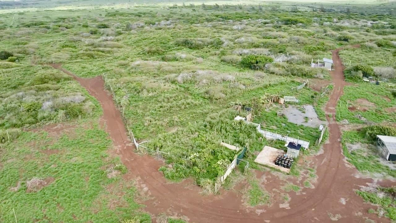 0 Kalua Koi Rd 26 Maunaloa, Hi vacant land for sale - photo 38 of 47