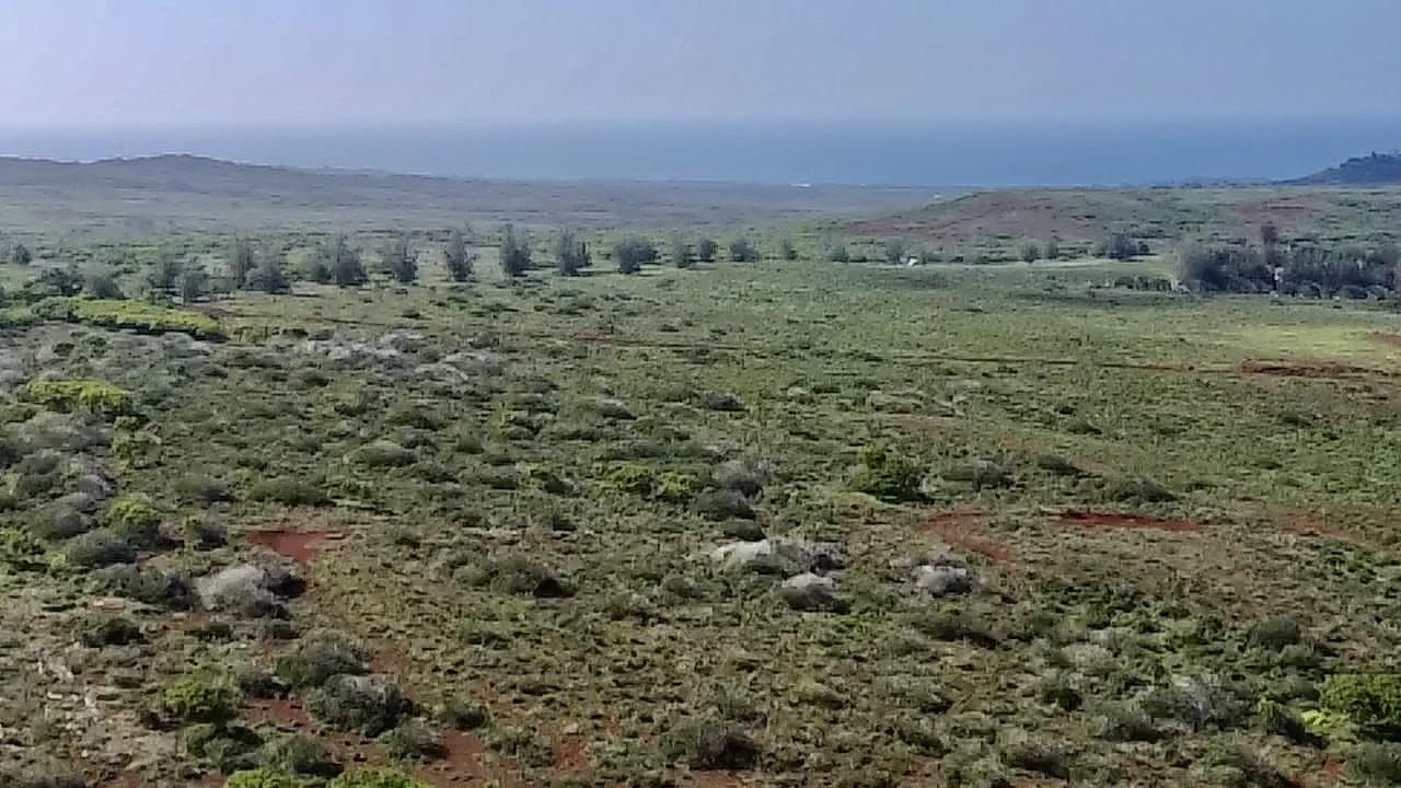 0 Kalua Koi Rd 47 Maunaloa, Hi vacant land for sale - photo 11 of 18