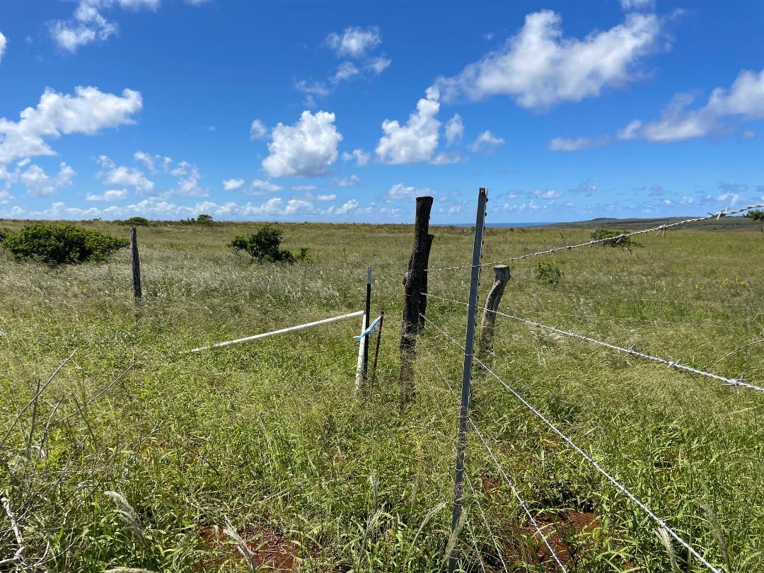 0 Kalua Koi Rd 47 Maunaloa, Hi vacant land for sale - photo 12 of 18