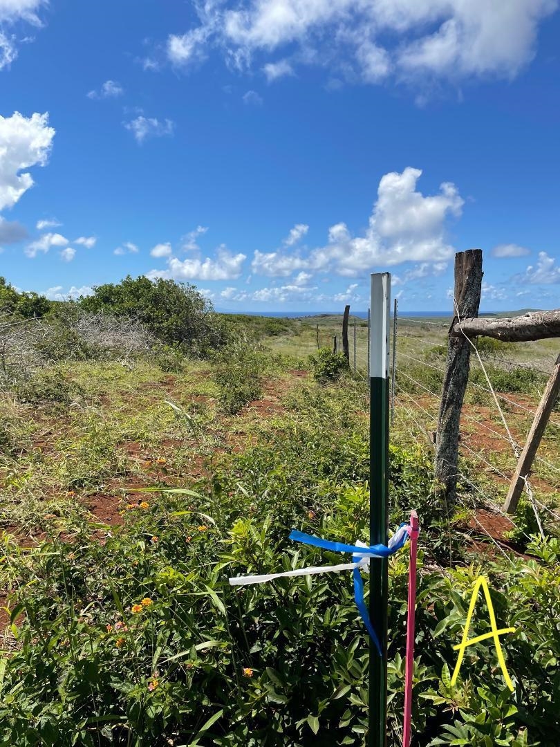 0 Kalua Koi Rd 47 Maunaloa, Hi vacant land for sale - photo 13 of 18