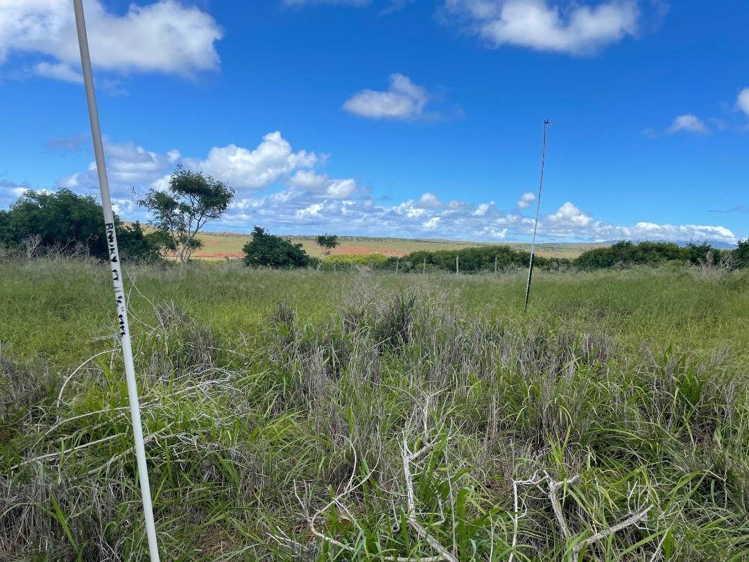 0 Kalua Koi Rd 47 Maunaloa, Hi vacant land for sale - photo 14 of 18