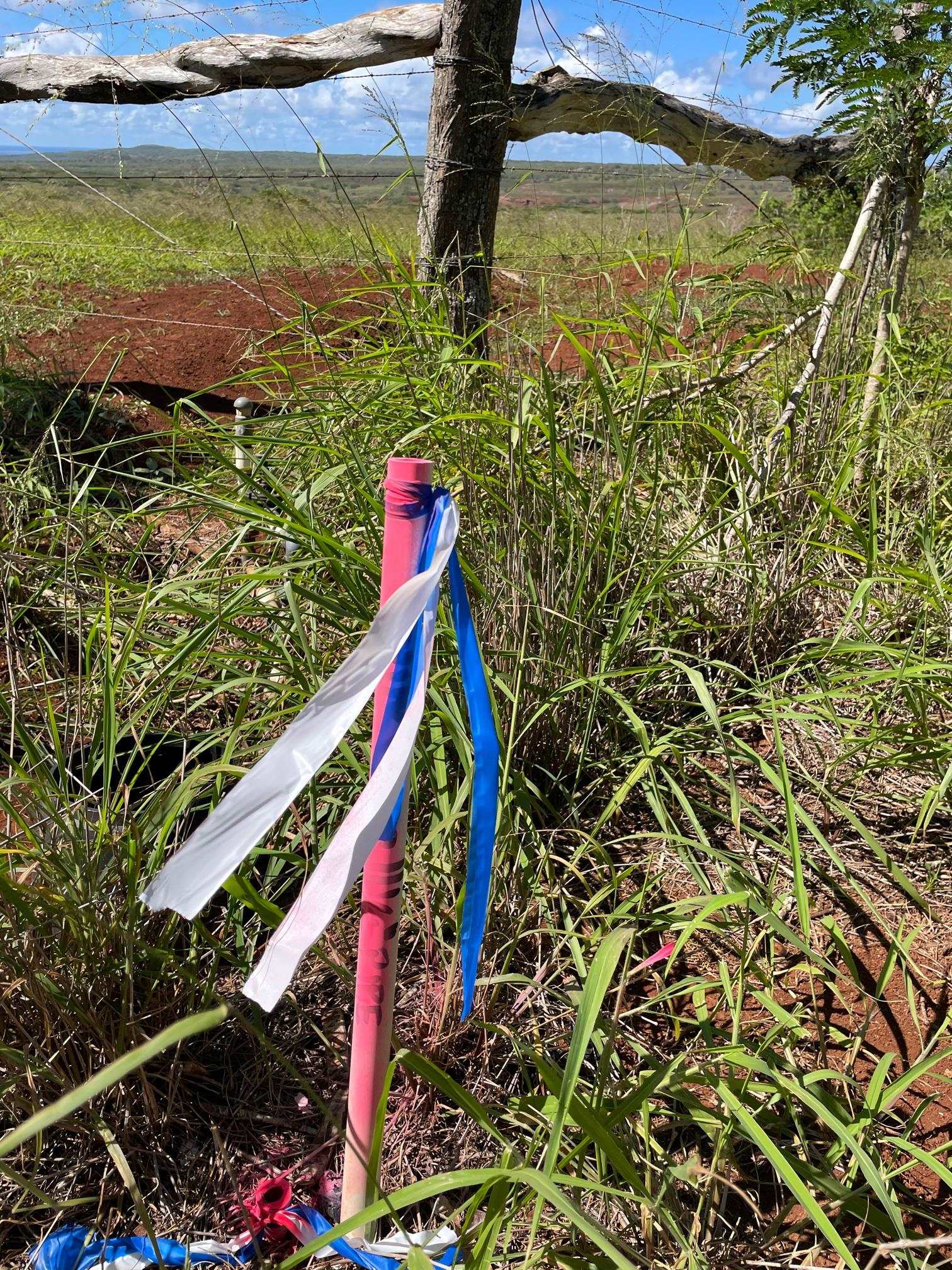 0 Kalua Koi Rd 47 Maunaloa, Hi vacant land for sale - photo 15 of 18