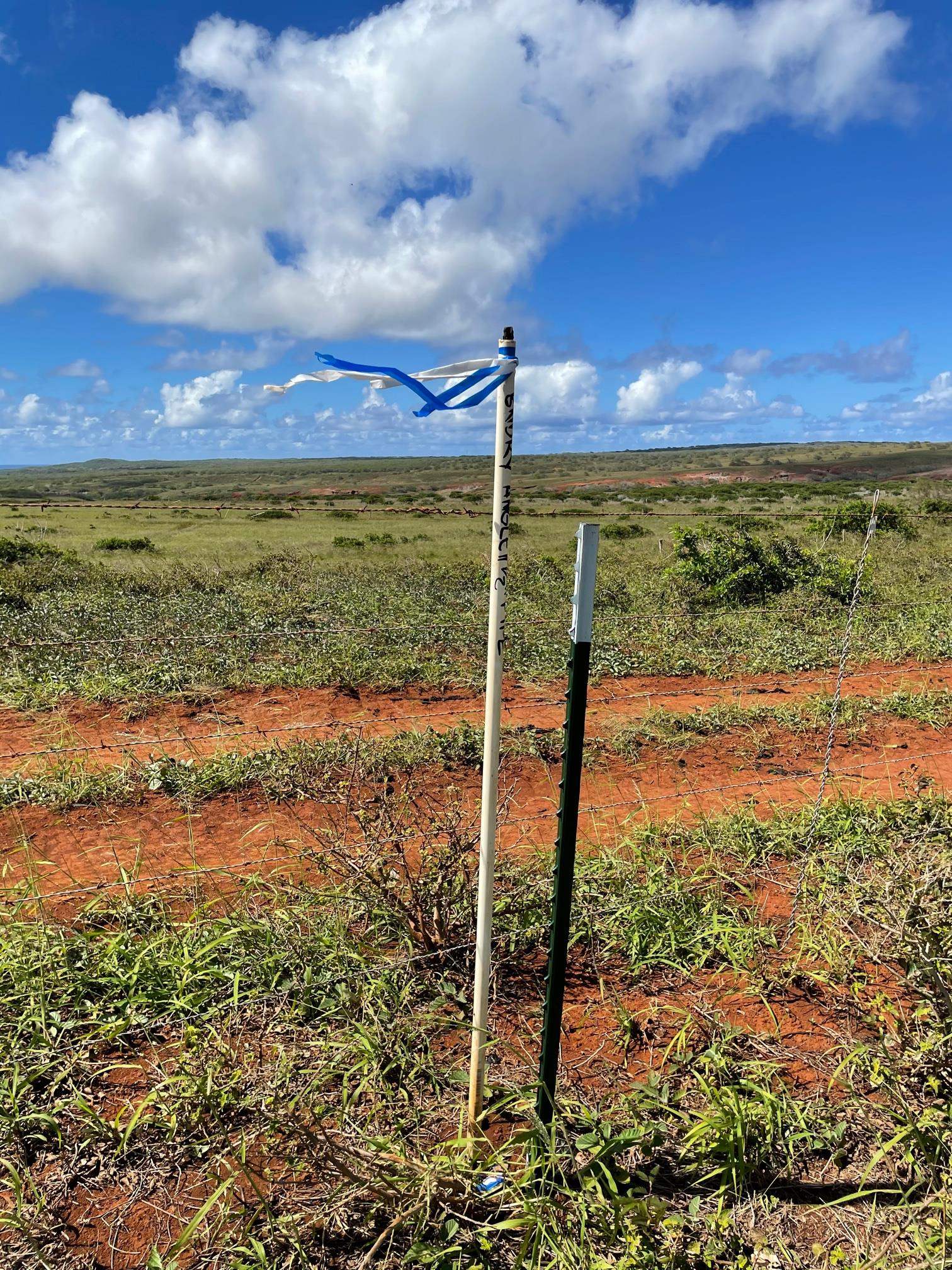 0 Kalua Koi Rd 47 Maunaloa, Hi vacant land for sale - photo 16 of 18