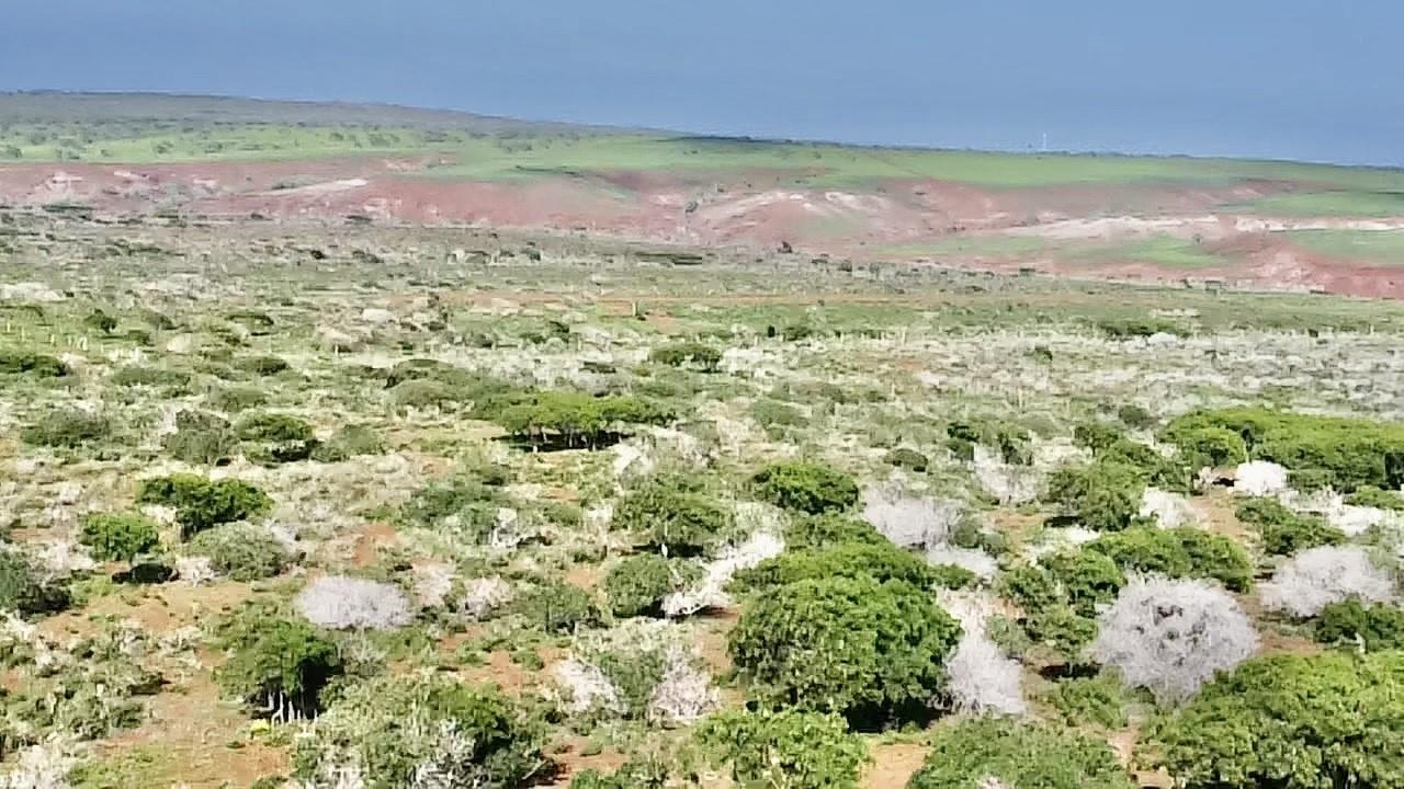 0 Kalua Koi Rd 47 Maunaloa, Hi vacant land for sale - photo 3 of 18