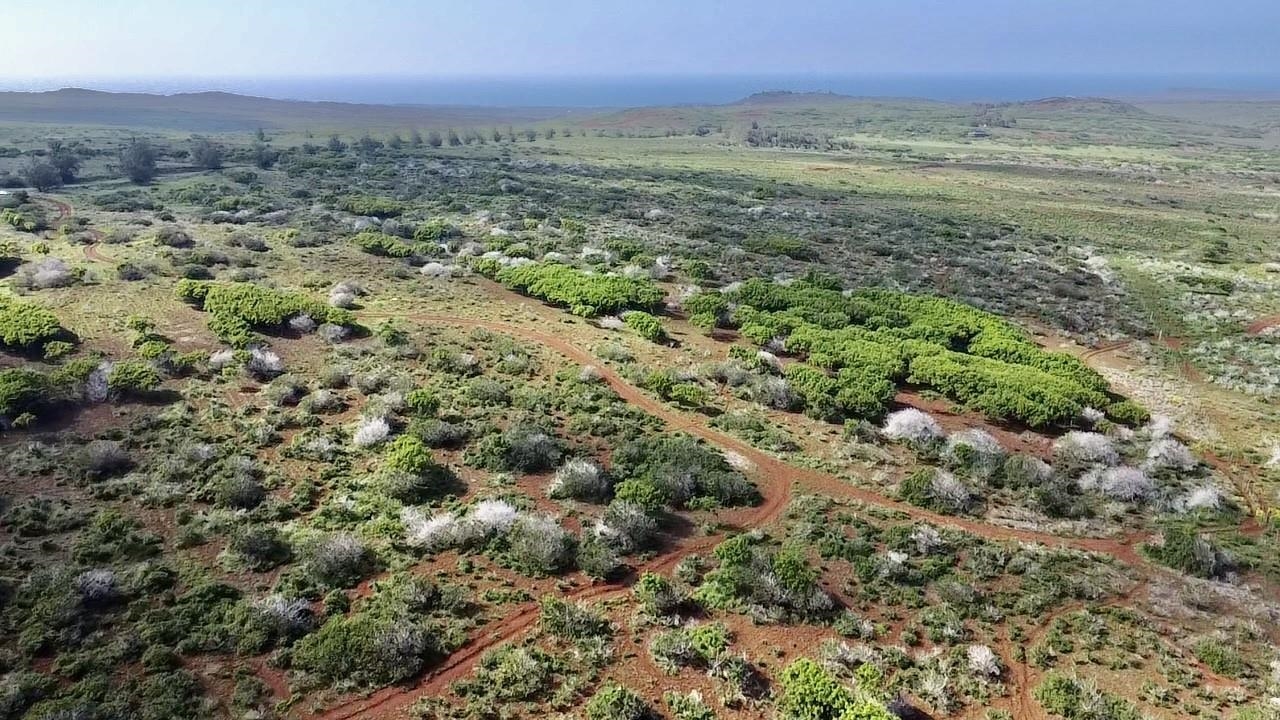 0 Kalua Koi Rd 47 Maunaloa, Hi vacant land for sale - photo 5 of 18