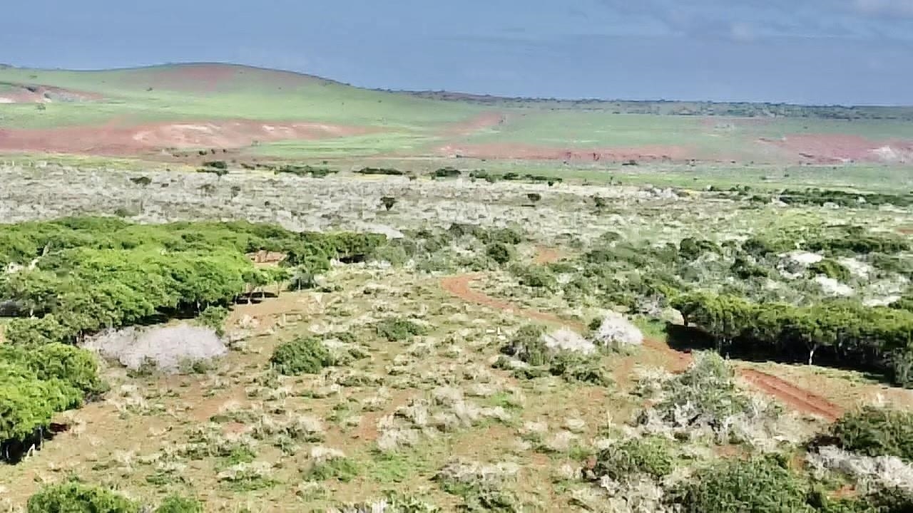 0 Kalua Koi Rd 47 Maunaloa, Hi vacant land for sale - photo 9 of 18