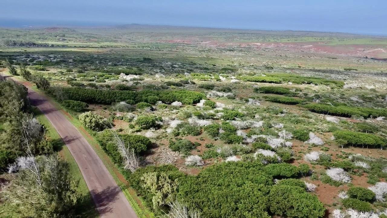 0 Kalua Koi Rd 47 Maunaloa, Hi vacant land for sale - photo 10 of 18