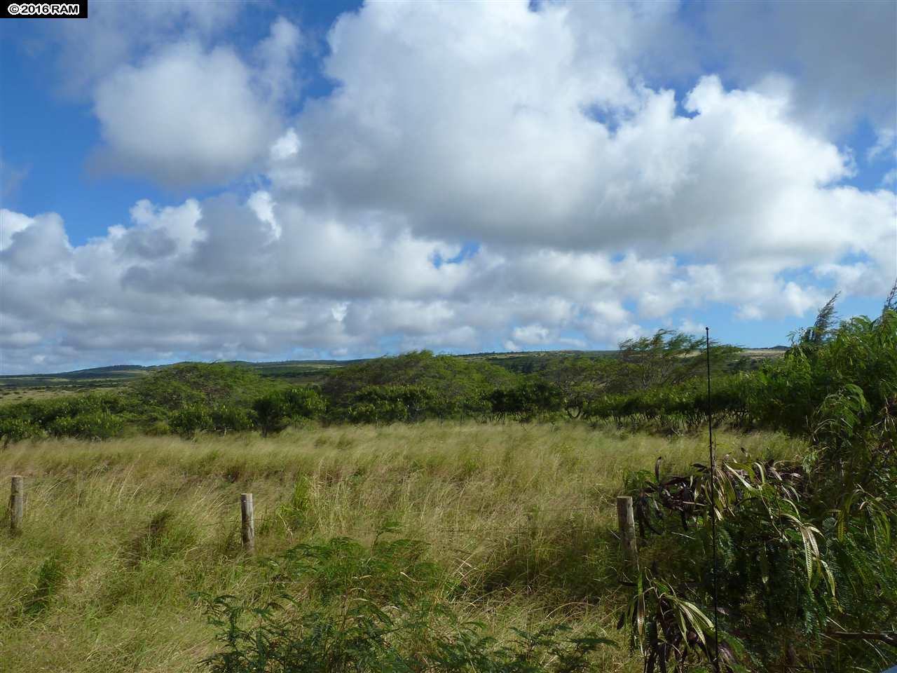 0 Kalua Koi Rd 55 Maunaloa, Hi vacant land for sale - photo 2 of 3