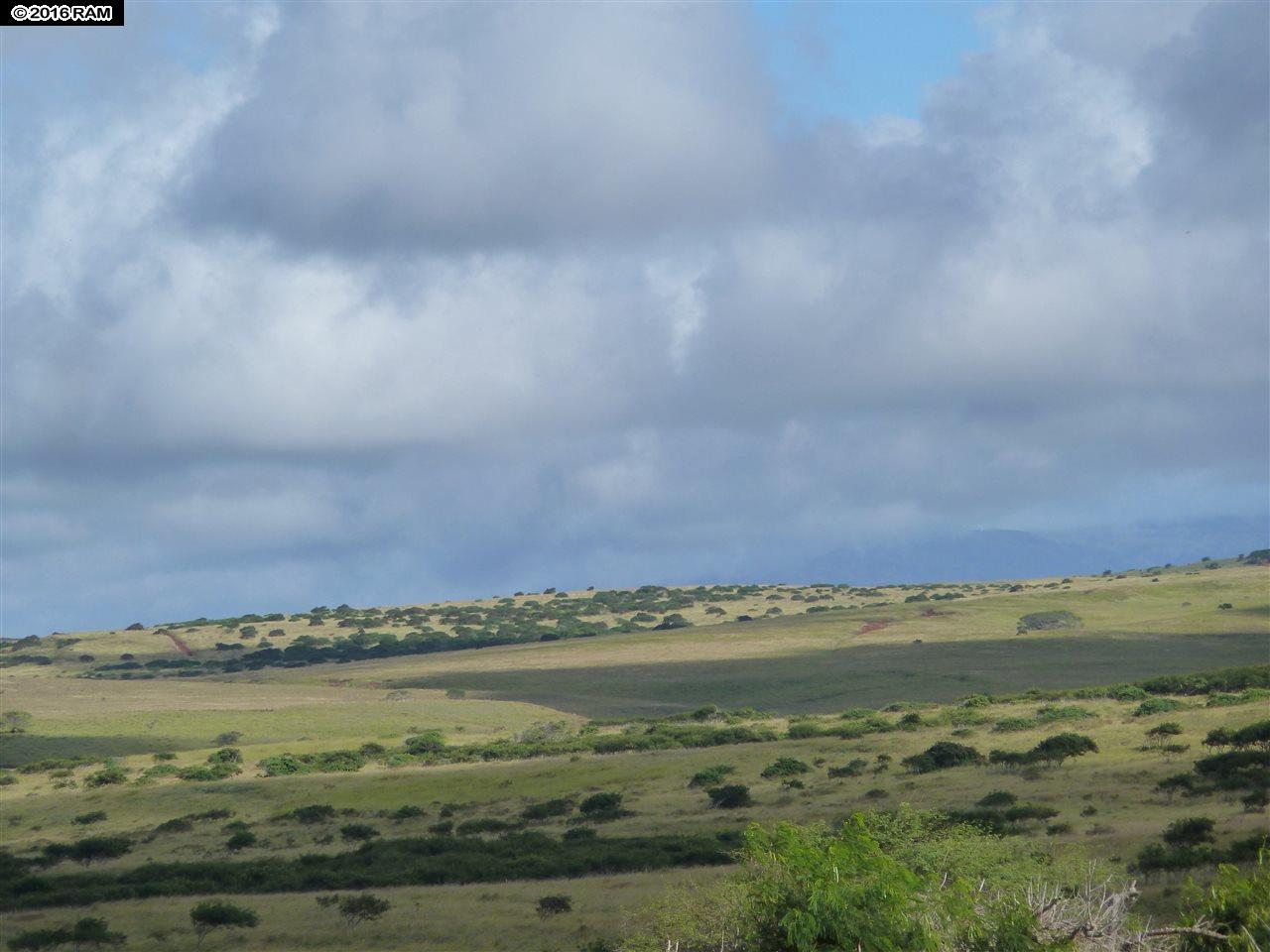 0 Kalua Koi Rd 55 Maunaloa, Hi vacant land for sale - photo 3 of 3