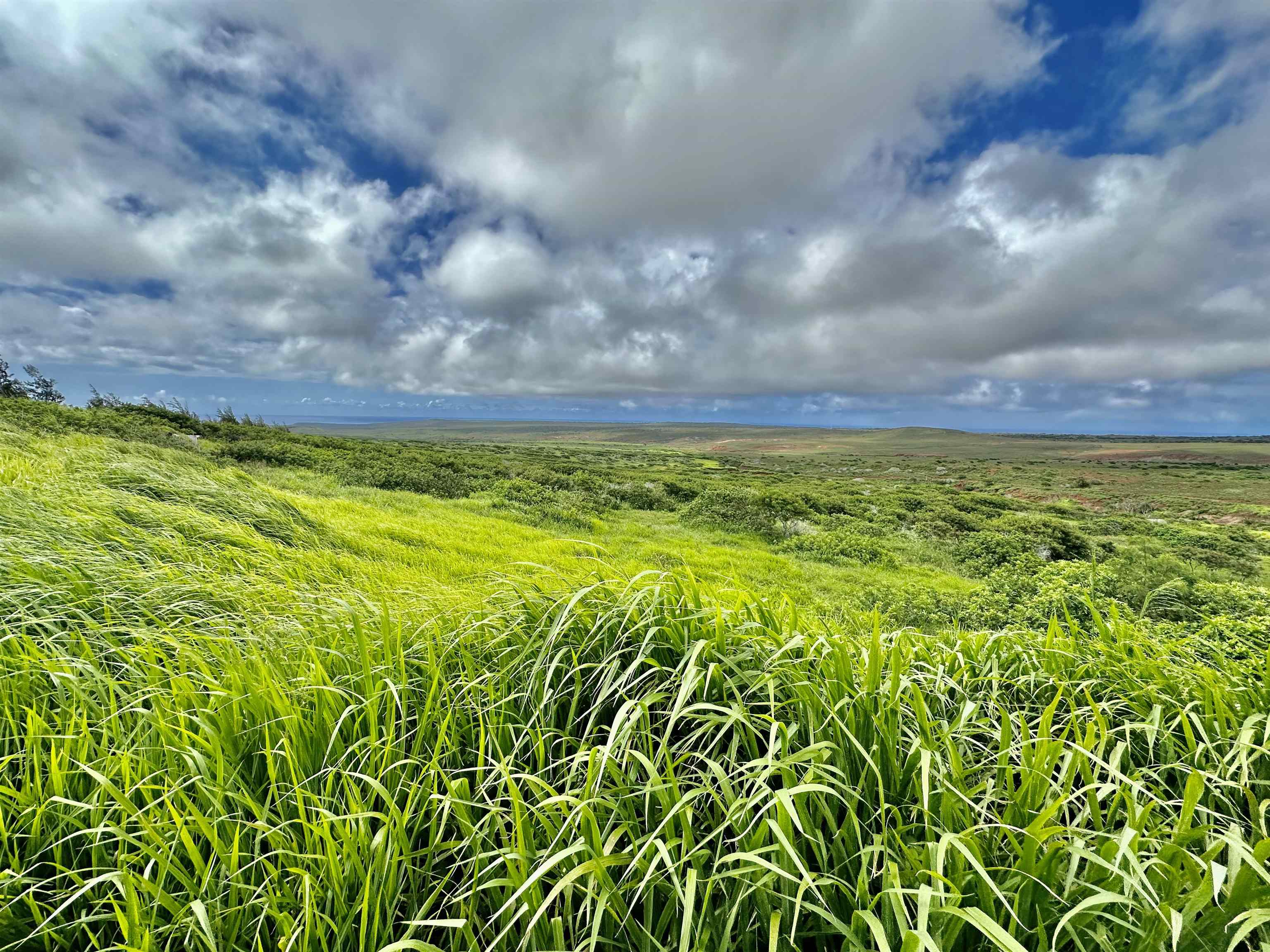 0 Kalua Koi Rd 56 Maunaloa Land For sale