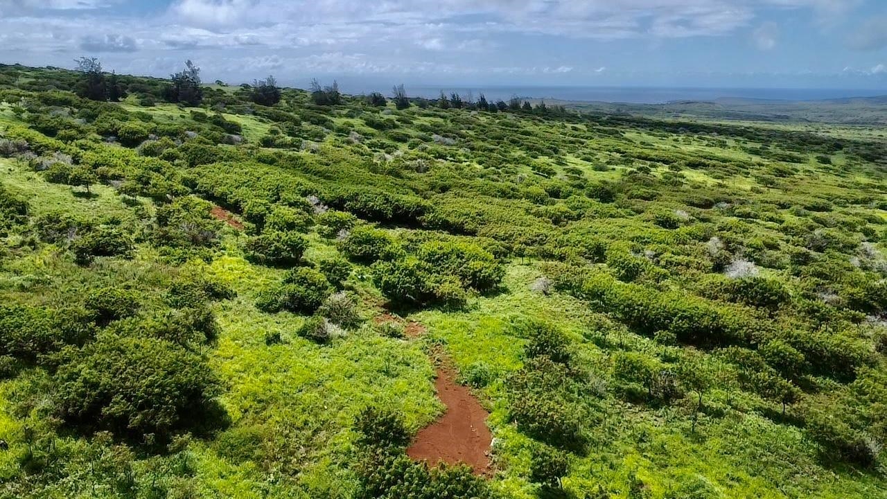 0 Kalua Koi Rd 56 Maunaloa, Hi vacant land for sale - photo 2 of 27