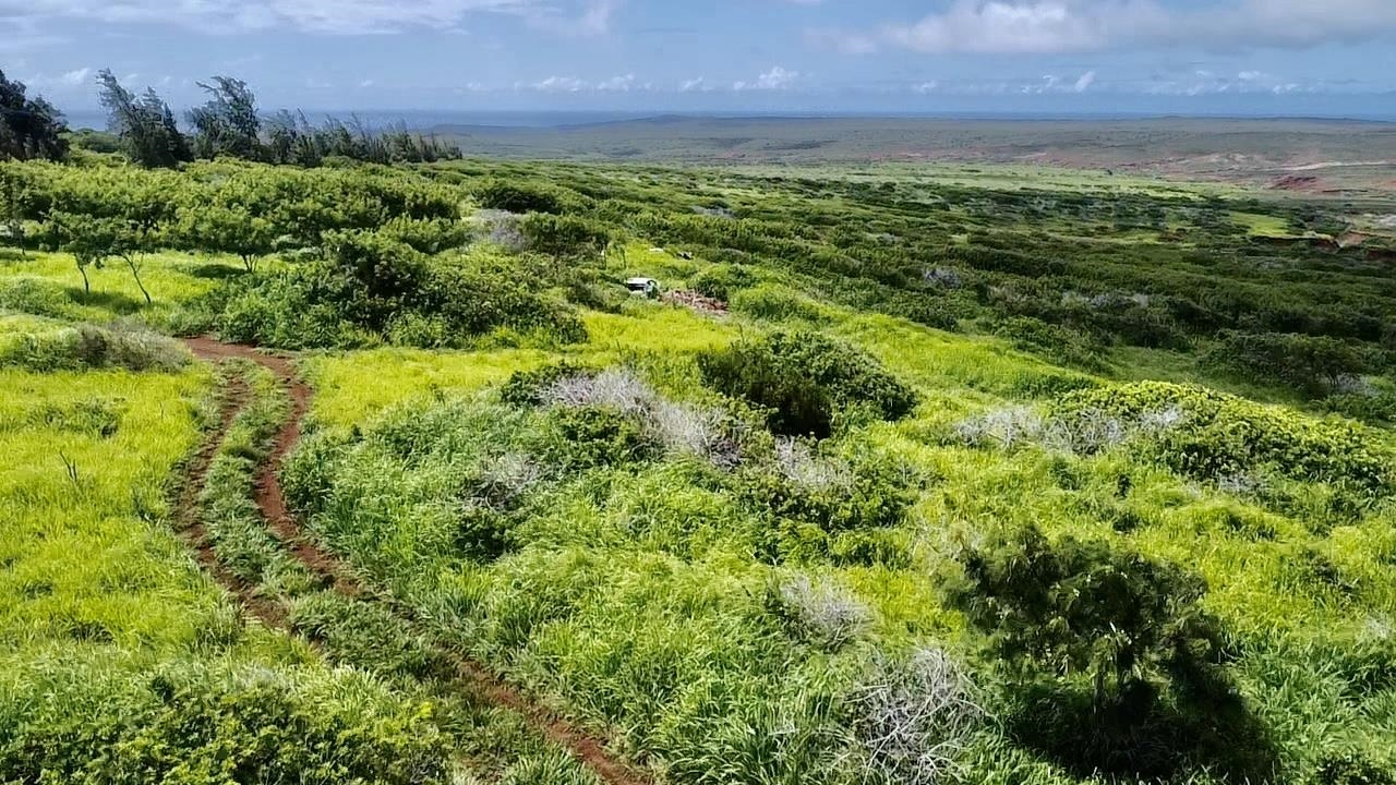 0 Kalua Koi Rd 56 Maunaloa, Hi vacant land for sale - photo 11 of 27