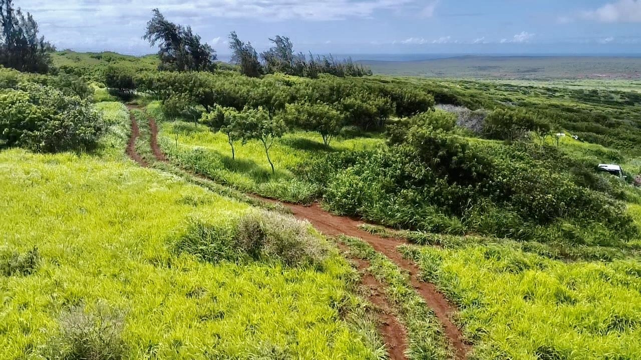 0 Kalua Koi Rd 56 Maunaloa, Hi vacant land for sale - photo 12 of 27