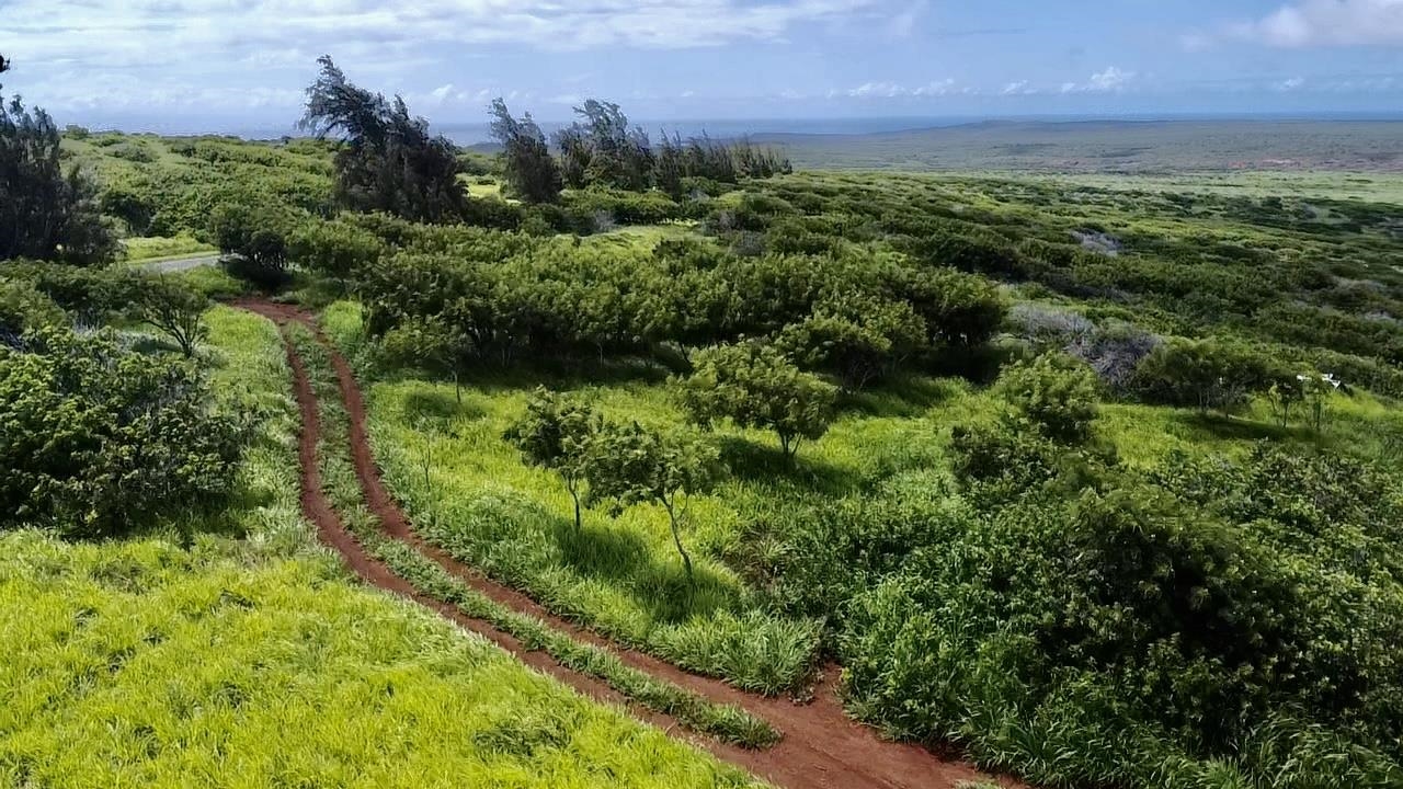 0 Kalua Koi Rd 56 Maunaloa, Hi vacant land for sale - photo 13 of 27