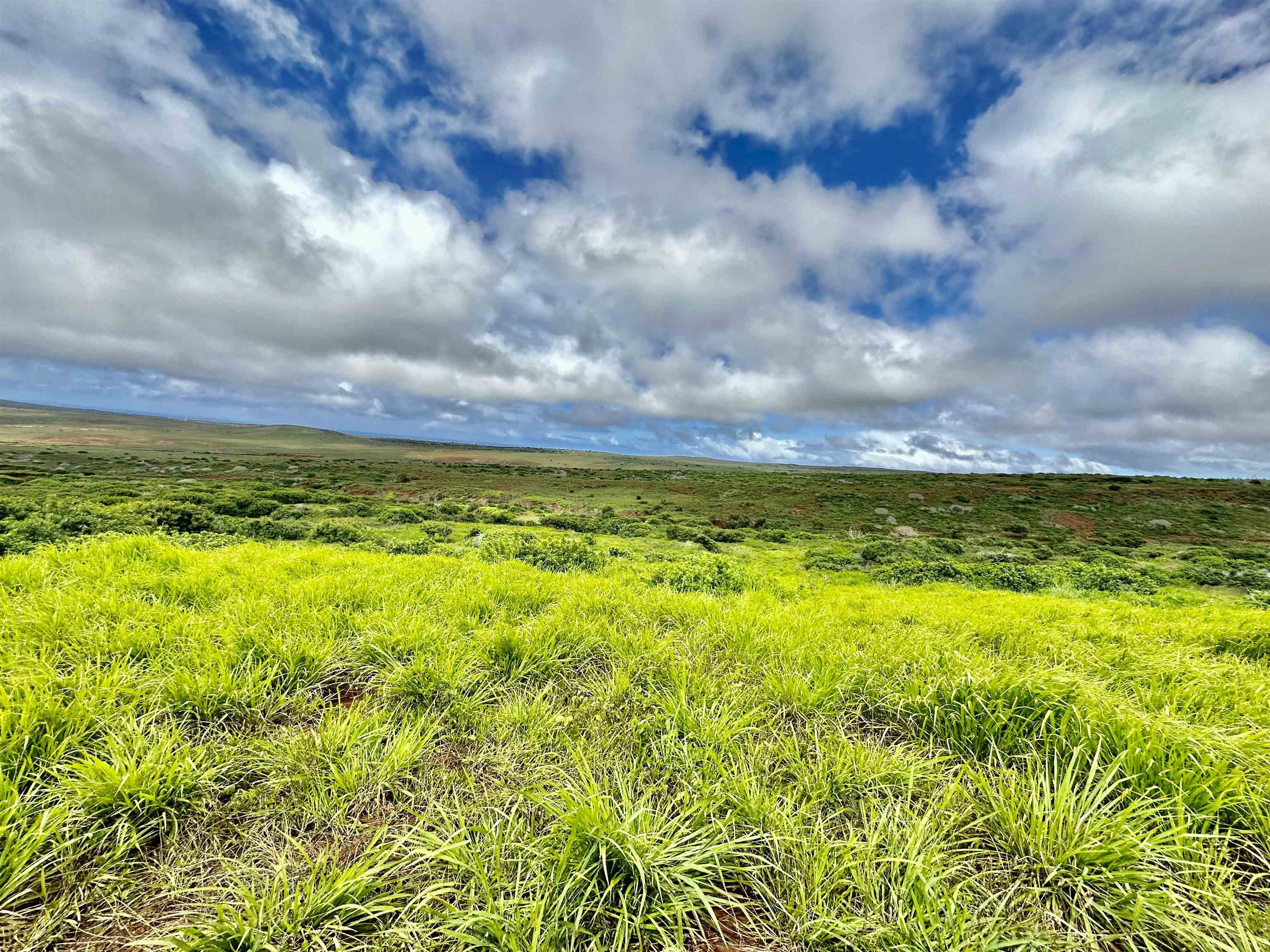 0 Kalua Koi Rd 56 Maunaloa, Hi vacant land for sale - photo 14 of 27