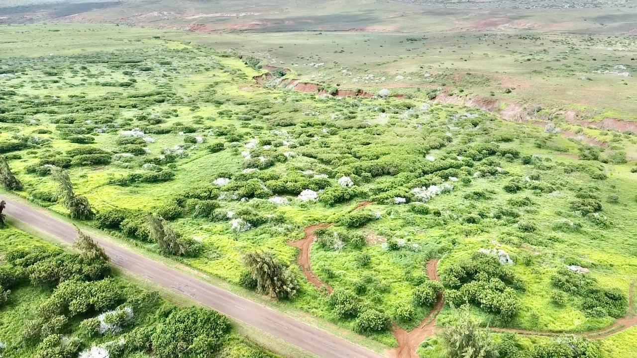 0 Kalua Koi Rd 56 Maunaloa, Hi vacant land for sale - photo 16 of 27