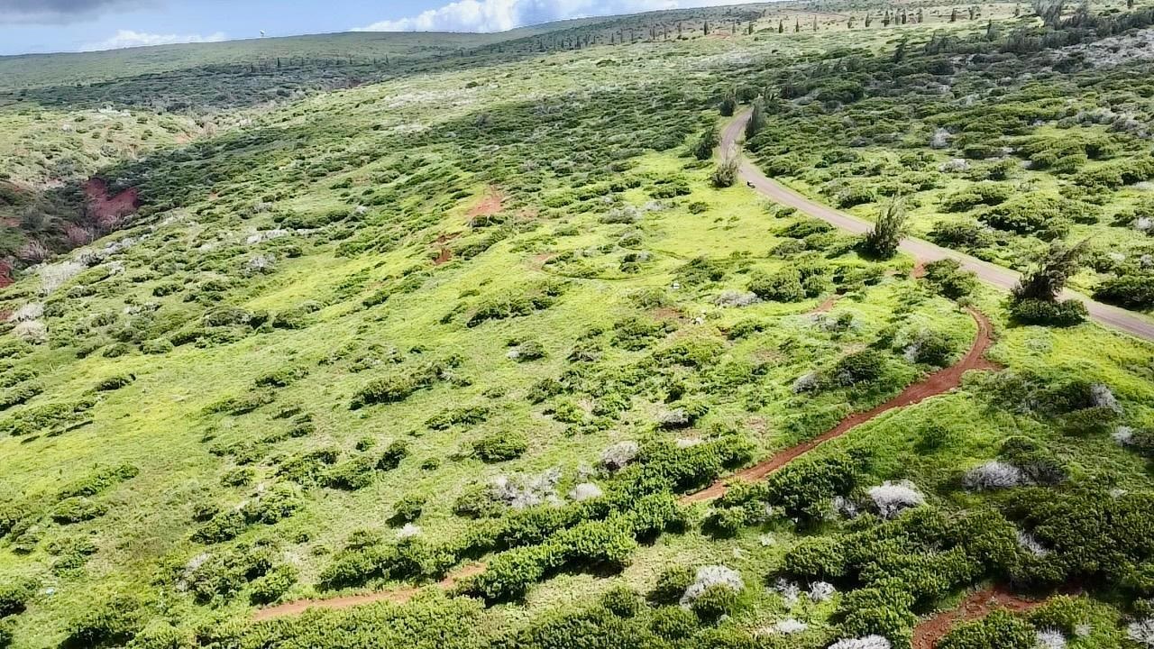 0 Kalua Koi Rd 56 Maunaloa, Hi vacant land for sale - photo 17 of 27